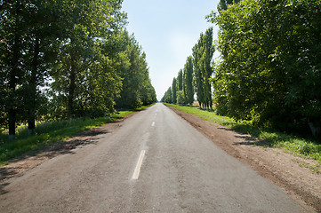 Image showing Country road beetwen trees