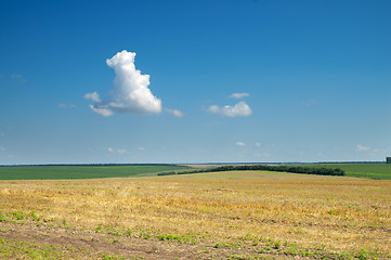 Image showing view to field after harvesting