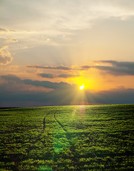 Image showing road in green field on sunset