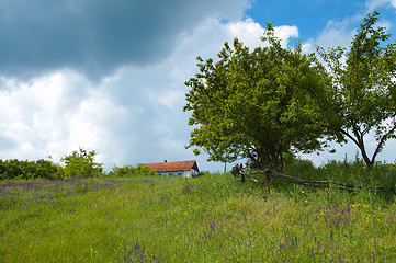 Image showing green tree, grass and sky with clouds around old house