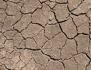 Image showing Dry soil with cracks