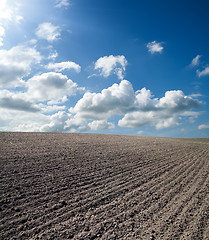 Image showing black ploughed field under blue cloudy sky