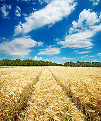 Image showing road in field under dark sky