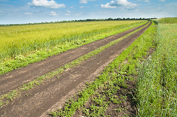 Image showing rural road in green field