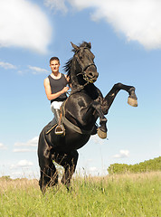 Image showing rearing horse