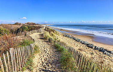 Image showing Footpath on the Atlantic Dune in Brittany