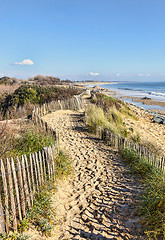 Image showing Footpath on the Atlantic Dune in Brittany