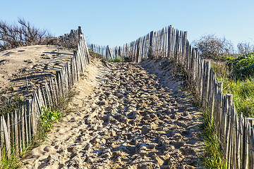 Image showing Footpath on the Atlantic Dune in Brittany