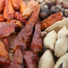 Image showing Background of chilli peppers and cardamom