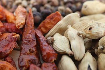 Image showing Dried chilli pepper and cardamom