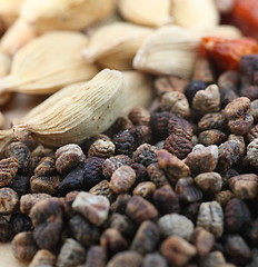 Image showing Cardamom pods and seeds