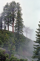 Image showing Fog