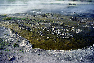 Image showing Hot Spring in Yellowstone National Park