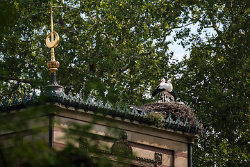 Image showing Storks in the nest