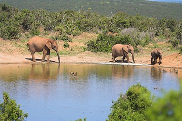 Image showing Scenic Reflection