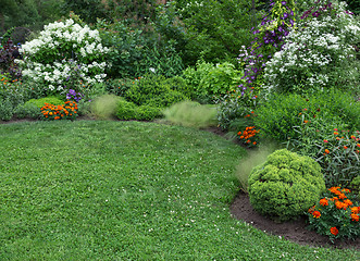 Image showing Summer garden with green lawn