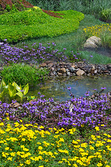 Image showing Beautifully landscaped summer garden