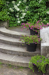 Image showing Flower pots decorating stone steps in a garden