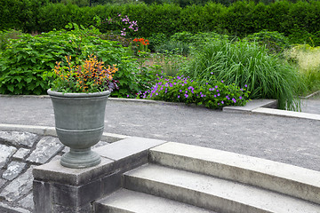 Image showing Flowers decorating stone steps in the garden