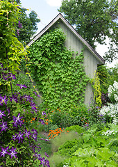 Image showing Little house in a flowering garden