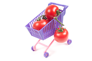 Image showing Conceptual photo with miniature shopping-cart