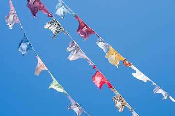 Image showing A group of colored shirts on a clothesline