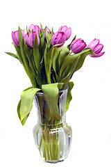 Image showing Tulips