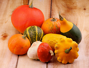 Image showing Squash and Pumpkins