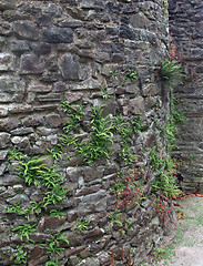 Image showing stone wall detail