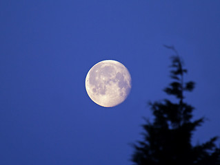 Image showing Waning Gibbous Moon