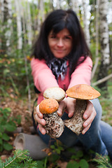 Image showing Mushrooms in hands