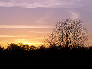 Image showing April Sunset