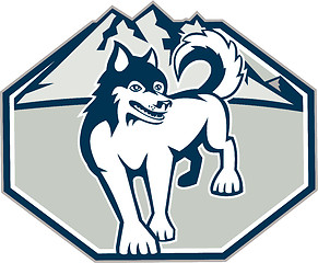 Image showing Siberian Husky Dog Mountain Retro