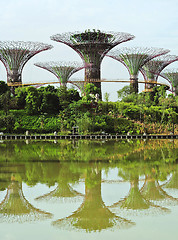 Image showing Gardens by the Bay in Singapore