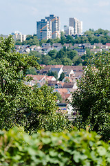 Image showing Vineyards in Stuttgart