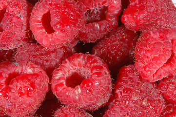 Image showing raspberries