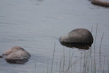 Image showing Few Rocks and grass