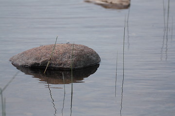 Image showing Rock and grasses