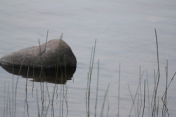 Image showing Rock in background and grass