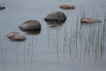 Image showing Rocks and grass