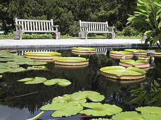 Image showing Botanical Gardens 1