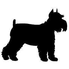 Image showing Schnauzer Silhouette