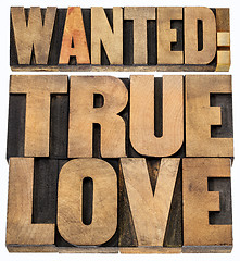 Image showing wanted true love in wood type