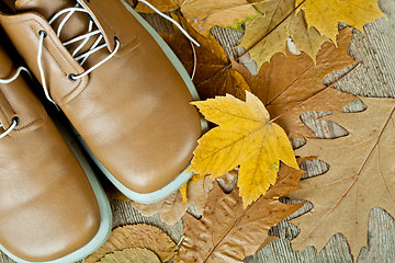 Image showing pair of biege leather shoes and yellow leaves
