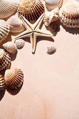 Image showing sea shells and star closeup