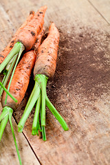 Image showing fresh carrots 