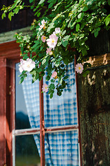 Image showing Idyllic Bavarian alpine cottage