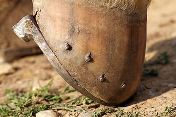 Image showing detail of a mounted horseshoe