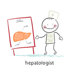 Image showing hepatologist tells presentation on liver