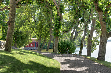 Image showing Alley with old trees leading to a red house